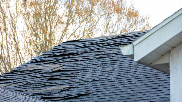 Signs Your Shingle Roof Needs Replacement